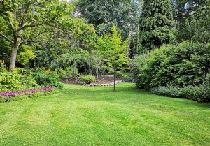 Optimiser l'expérience du jardin à Courchamp